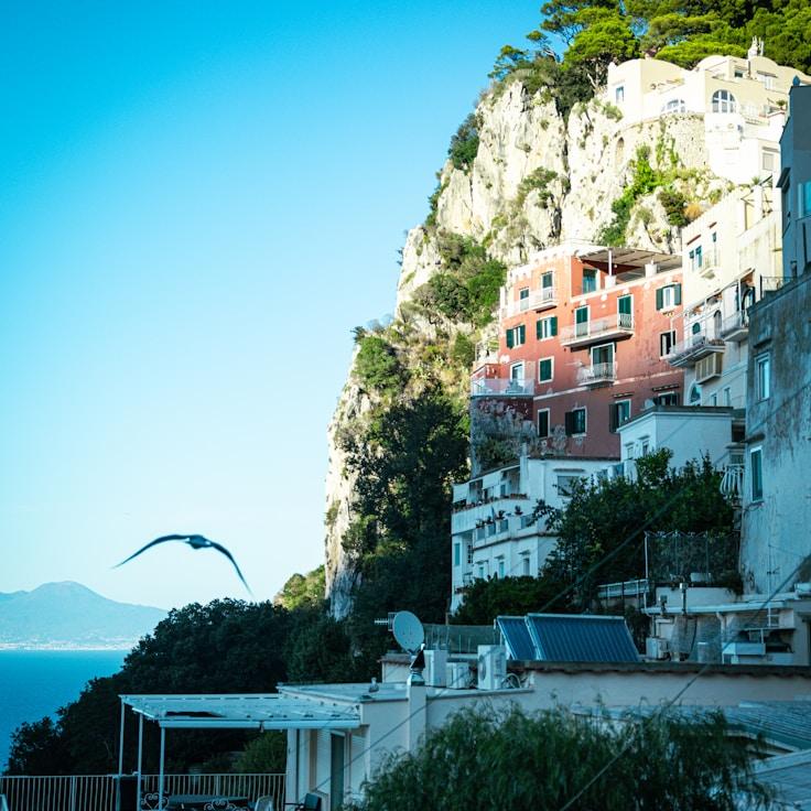 Family terraces and cafés for calm evenings in Lisbon